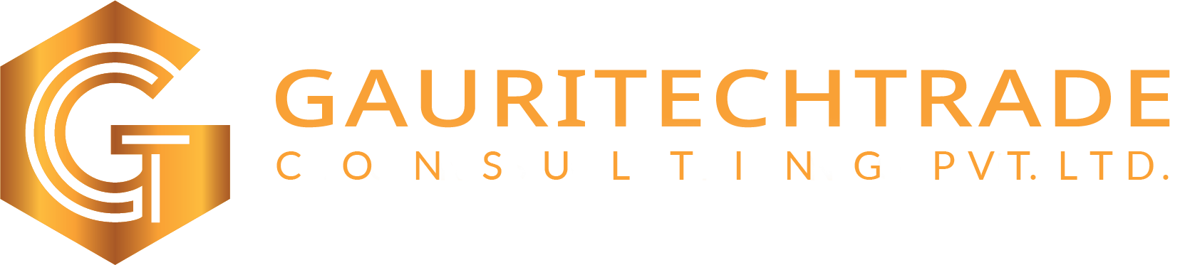 Gauri Tech Trade Consulting logo